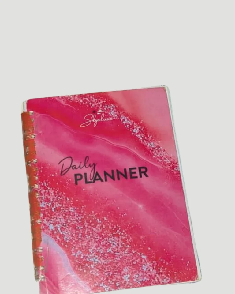 Adebisi Ebun's daily planner